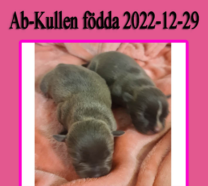 Abkullen