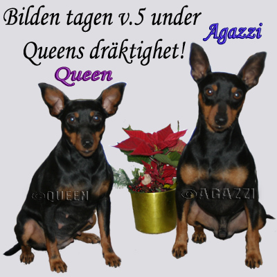 agazzi
