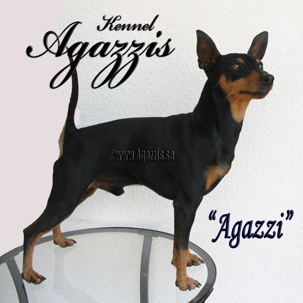 Agazzi