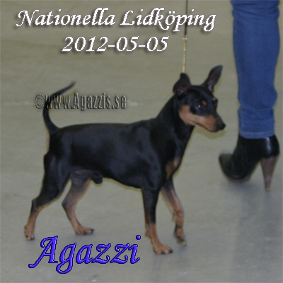 agazzi
