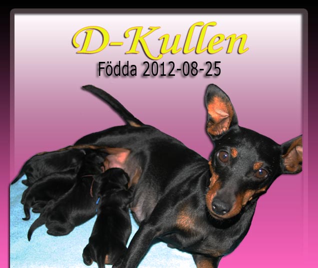 dkullen