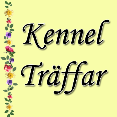 Kenneltrffar