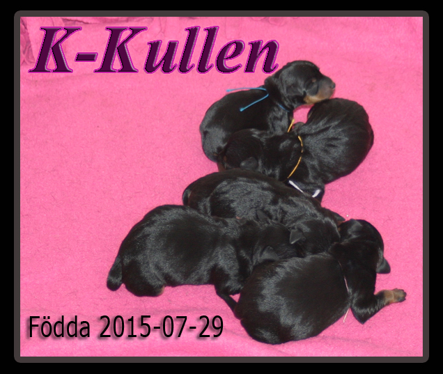 Kkullen