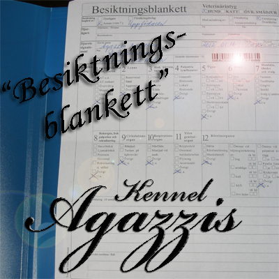 Besikningsblankett