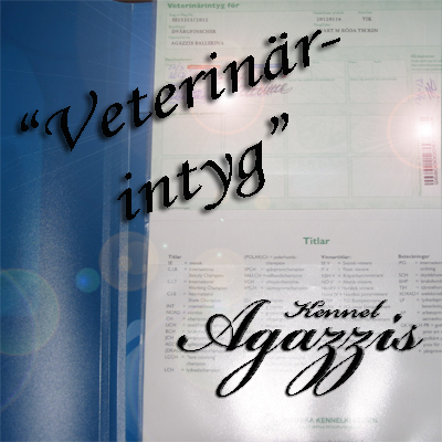Veterinärintyg