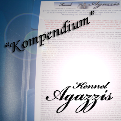 kompendium