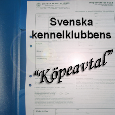 kopeavtal
