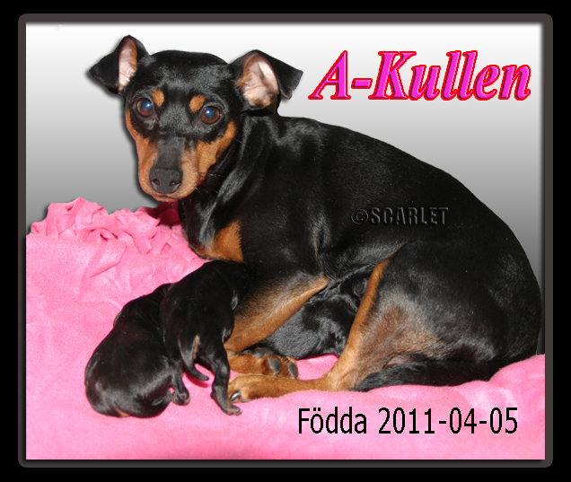 Akullen