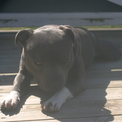 mr Blue