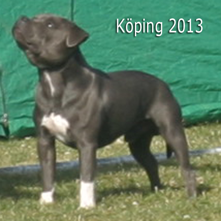 mr Blue