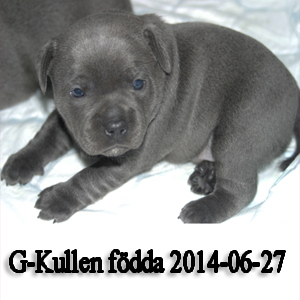 gkullen