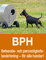 Svenska Brukshunds klubben