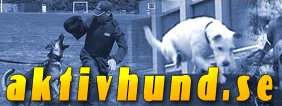 Aktivhund.se