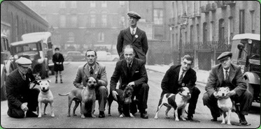 Crufts 1939