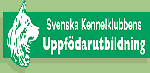 Svenska kennelklubbens uppfödarutbildning