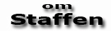om staffordshire bullterrier