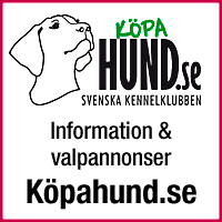 Kpa hund.se