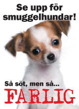 Smuggel hundar