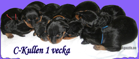 bild6
