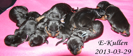 bild6