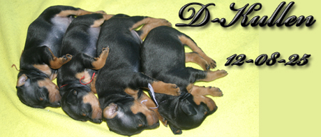 bild6