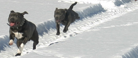bild5