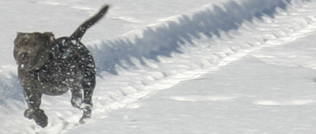 bild11