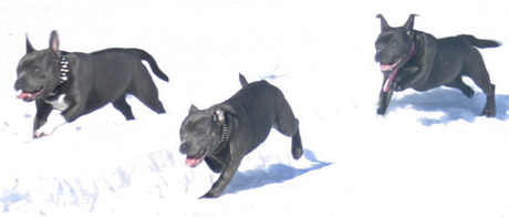 bild6