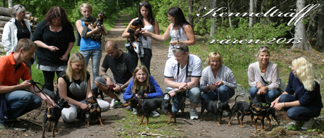 bild6