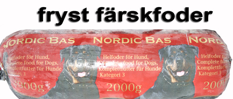 bild5