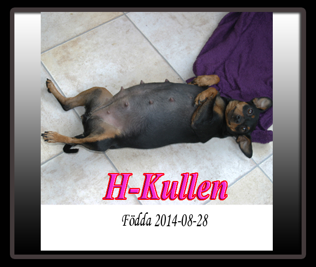 Hkullen