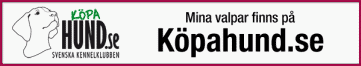 kopa hund
