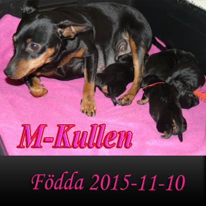 Mkullen