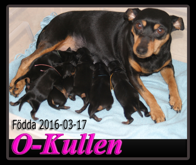 Okullen