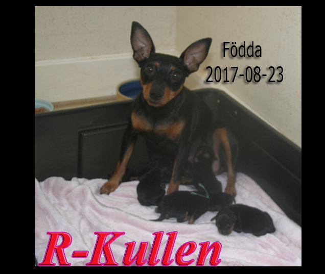 Rkullen
