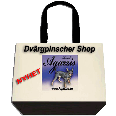 Till Agazzis shop