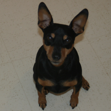Sid