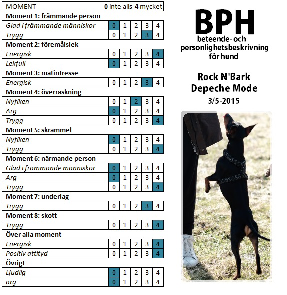 BPH