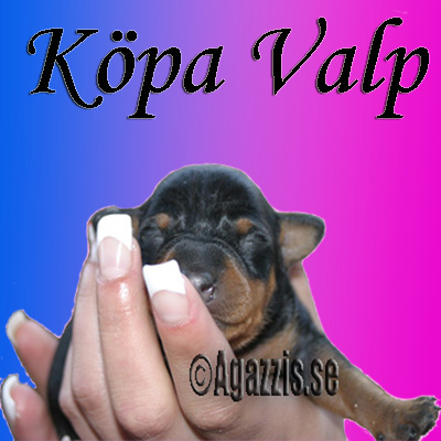 Valpar