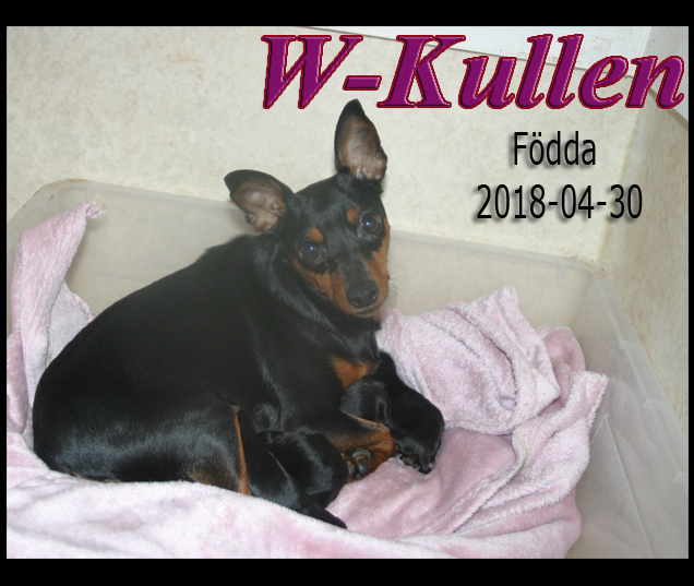 Wkullen